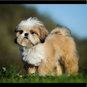 Meet your Posher, Celina